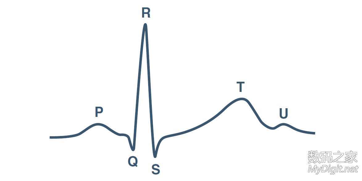 心电图的意义(解读) (转帖) - qqq2000 - 现代收音机与数码应用