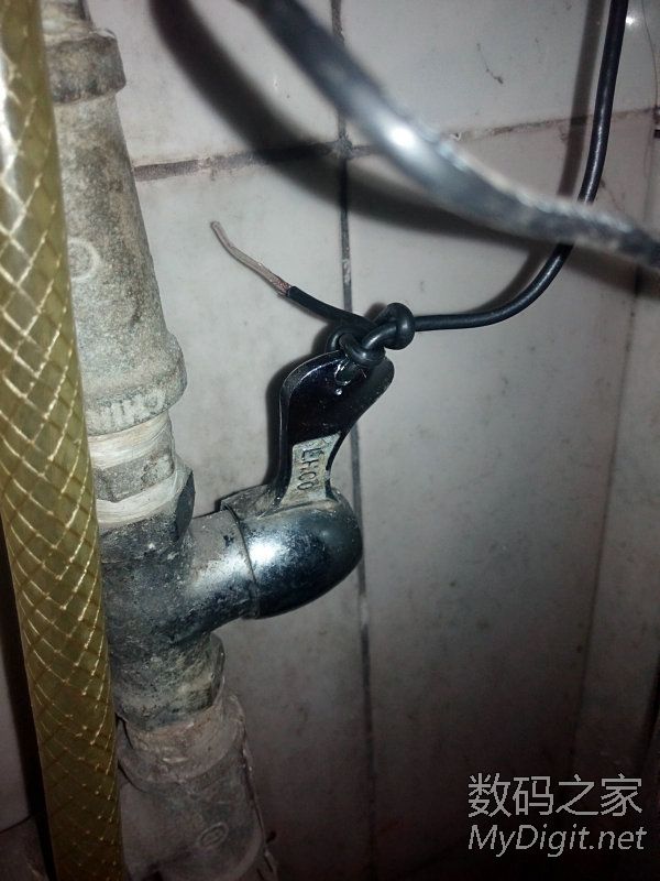 枸杞每天吃多少_人均每天浪费多少水(3)