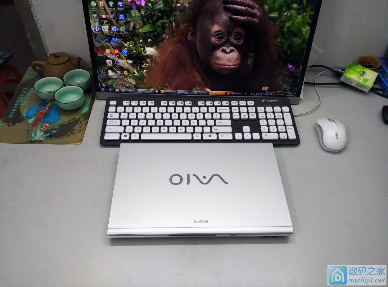 生根不落地,长叶不开花,街上有卖的,园子没种的