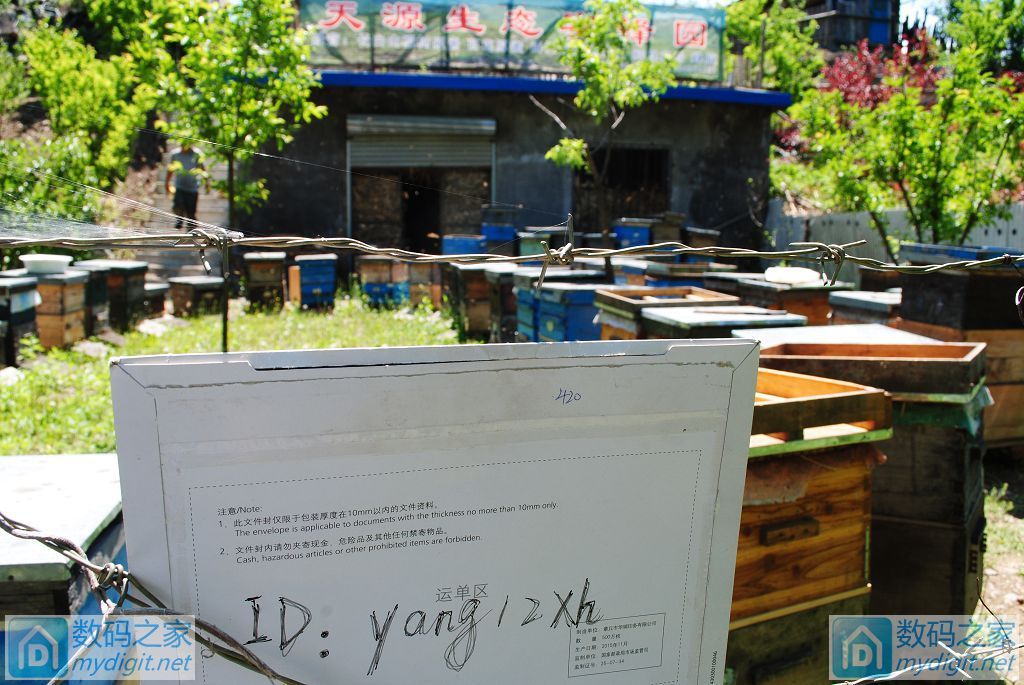 䳲