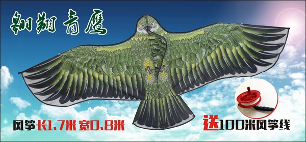 喜欢户外运动的数码兄弟进来看看 篮球 足球 风筝惊喜大特价 喜欢户外运动的数码兄弟进来看看 篮球 足球 风筝惊喜大特价