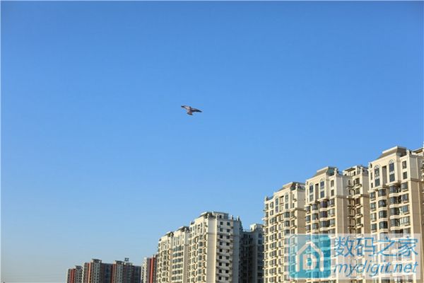 喜欢户外运动的数码兄弟进来看看 篮球 足球 风筝惊喜大特价 喜欢户外运动的数码兄弟进来看看 篮球 足球 风筝惊喜大特价