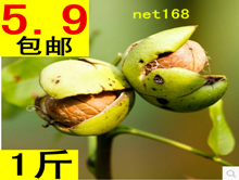 ũ1ʺ5.9춹޲ʷ0Ԫ2