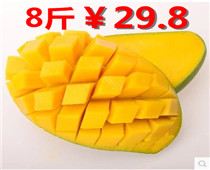 籦4ĺϷװ580־ߺЬ˫˷19.8ʵ