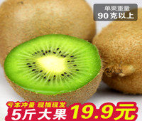 UV58Ԫ19.8