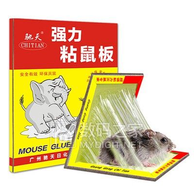 请输入描述 请输入描述