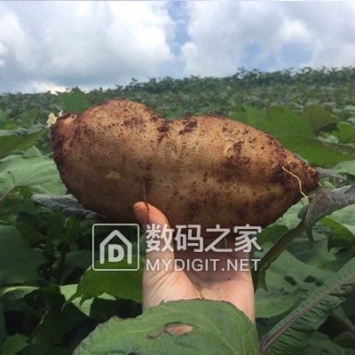 请输入描述 请输入描述