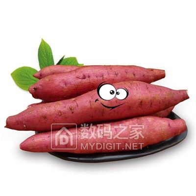 请输入描述 请输入描述