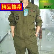 岻ѹԡͷװԡԡϴֳͷ 12Ԫ