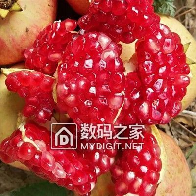 糬ֵƼ   ֵù