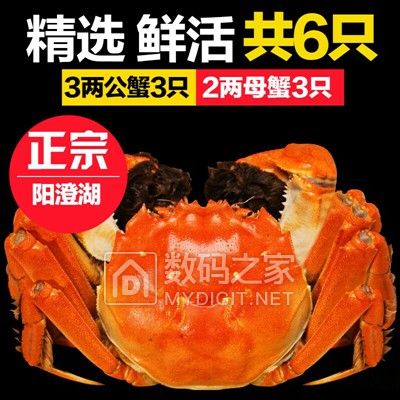 糬ֵƼ   ֵù