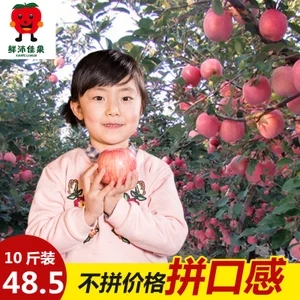 天猫x1免钉胶停车牌航拍投影山地车牛扒鲜荔枝芒果平衡车12电钻鼠标垫喷火杜蕾斯厨水槽 天猫x1免钉胶停车牌航拍投影山地车牛扒鲜荔枝芒果平衡车12电钻鼠标垫喷火杜蕾斯厨水槽
