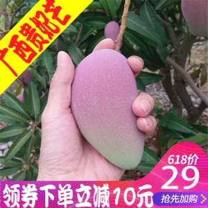 天猫x1免钉胶停车牌航拍投影山地车牛扒鲜荔枝芒果平衡车12电钻鼠标垫喷火杜蕾斯厨水槽 天猫x1免钉胶停车牌航拍投影山地车牛扒鲜荔枝芒果平衡车12电钻鼠标垫喷火杜蕾斯厨水槽