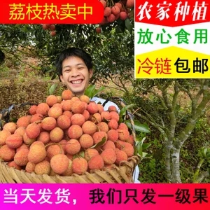 投影机家用..防缠绕智能洗衣..拖地机器.. 投影机家用..防缠绕智能洗衣..拖地机器..