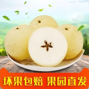 投影机家用..防缠绕智能洗衣..拖地机器.. 投影机家用..防缠绕智能洗衣..拖地机器..