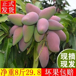 老A 12V锂电钻..车载逆变器12v..红外测温仪.. 老A 12V锂电钻..车载逆变器12v..红外测温仪..