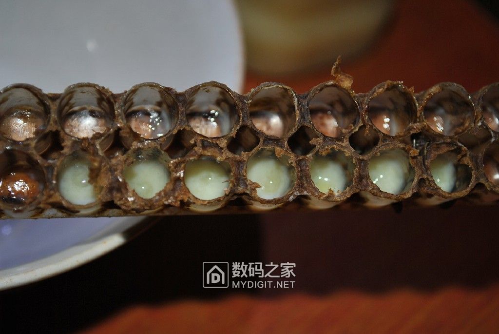 荣邦936,良心之作!顺带出自家椴蜜,纯正,天然!坛友包邮非偏远! 荣邦936,良心之作!顺带出自家椴蜜,纯正,天然!坛友包邮非偏远!