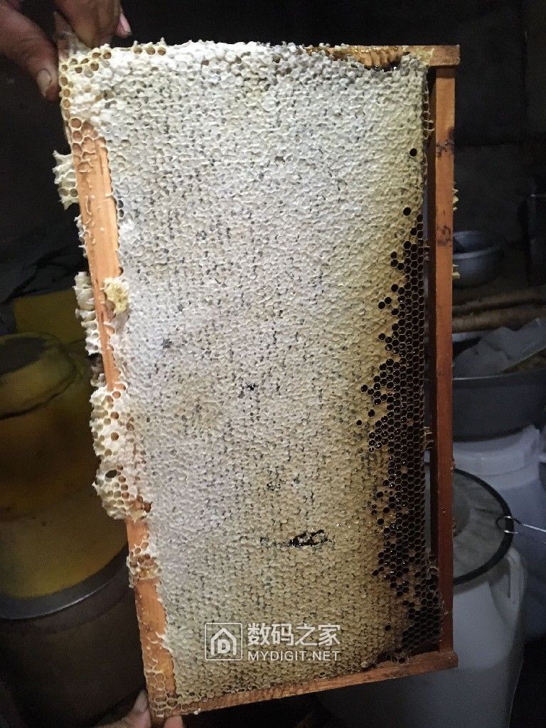 荣邦936,良心之作!顺带出自家椴蜜,纯正,天然!坛友包邮非偏远! 荣邦936,良心之作!顺带出自家椴蜜,纯正,天然!坛友包邮非偏远!