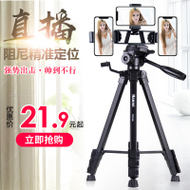 Hanmiֱֻż 21.90Ԫͷ