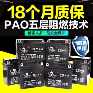 电动电池排名_电动汽车电池(2)