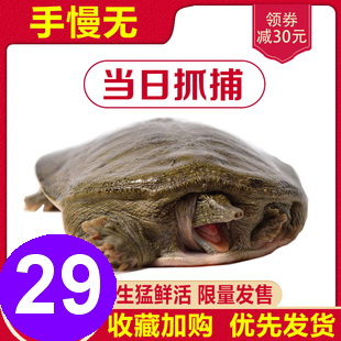 美缝剂8车载吸尘器9.8大枣3斤14.9甲鱼29腰包3.9雨刷5.5空调扇99无线鼠标9.9 美缝剂8车载吸尘器9.8大枣3斤14.9甲鱼29腰包3.9雨刷5.5空调扇99无线鼠标9.9