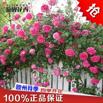 乐申有度数偏光太阳镜29元,野生辣木籽100g 6.9元,奥乐齐莫斯卡托起泡葡萄酒2瓶49.9元 乐申有度数偏光太阳镜29元,野生辣木籽100g 6.9元,奥乐齐莫斯卡托起泡葡萄酒2瓶49.9元