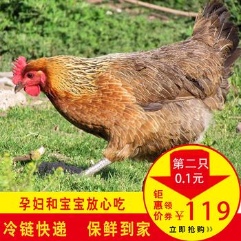 17点更新!下午最新超值白菜商品优惠推荐大集合 17点更新!下午最新超值白菜商品优惠推荐大集合