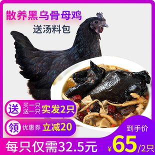 请输入描述 请输入描述