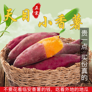 请输入描述 请输入描述