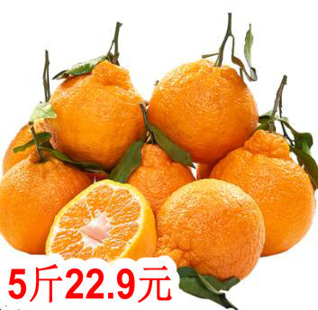 现代车载蓝牙播放器14!收款播报器7!四川粑粑柑5斤22!空调挡风板8.8 现代车载蓝牙播放器14!收款播报器7!四川粑粑柑5斤22!空调挡风板8.8