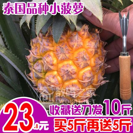 景德镇4.5英寸饭碗10个19.8元!正山小种红茶共125g 9.9元!追随者车载GPS定位防盗器19元 景德镇4.5英寸饭碗10个19.8元!正山小种红茶共125g 9.9元!追随者车载GPS定位防盗器19元