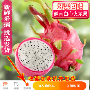 请输入描述 请输入描述