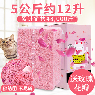 请输入描述 请输入描述