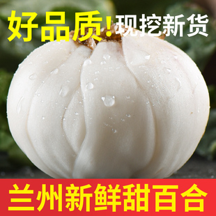 请输入描述 请输入描述