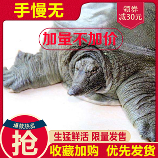 请输入描述 请输入描述