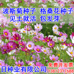 请输入描述 请输入描述