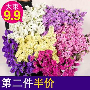 请输入描述 请输入描述