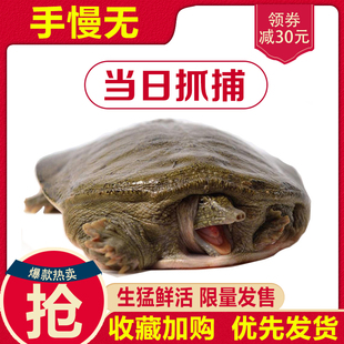 请输入描述 请输入描述