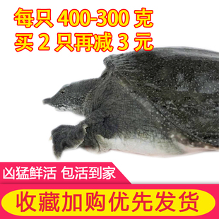 请输入描述 请输入描述