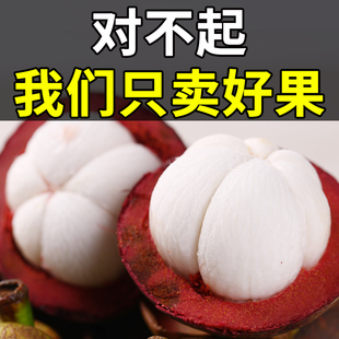 请输入描述 请输入描述