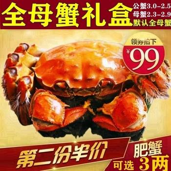 5*5.9齺495 4綯ĥ7.9