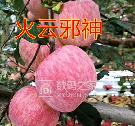 а ĸֵƻƻƻ࣬