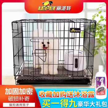 ѼѼж޷994Gȫֻͨ29˫Ի19ȡů549˺19