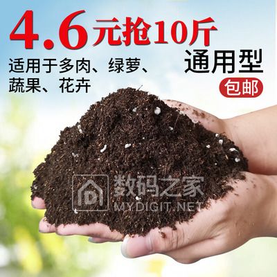 ♥1111Ԫ ޱů19 304ȼ16 10012 3819 49