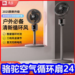 ѭ242ֻ