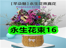 4��21���Ż�ȯ��Ʒ�ϼ�-��������16����֧�������º����
